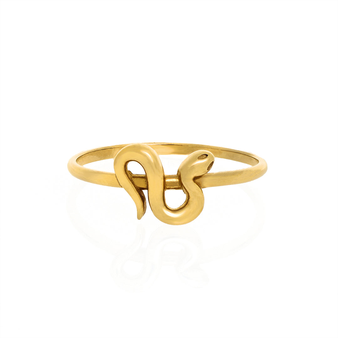 Anillo Snake