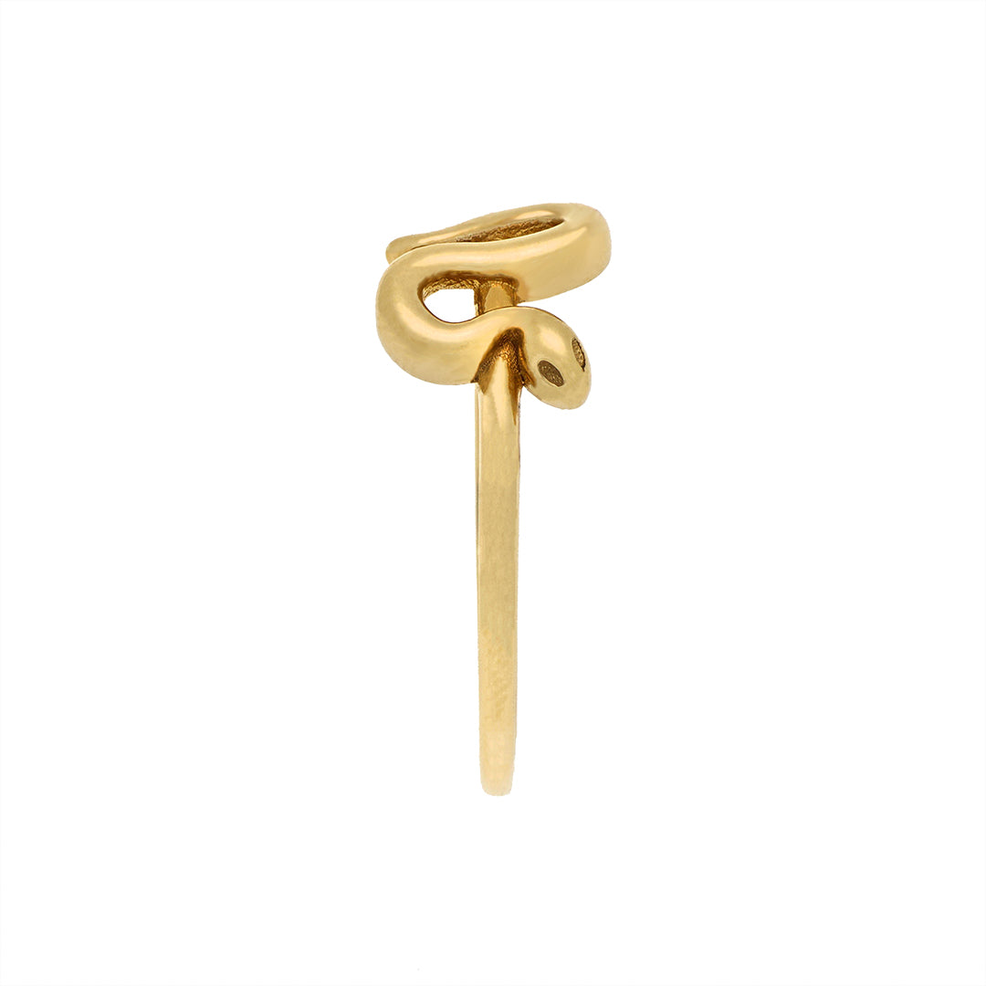 Anillo Snake