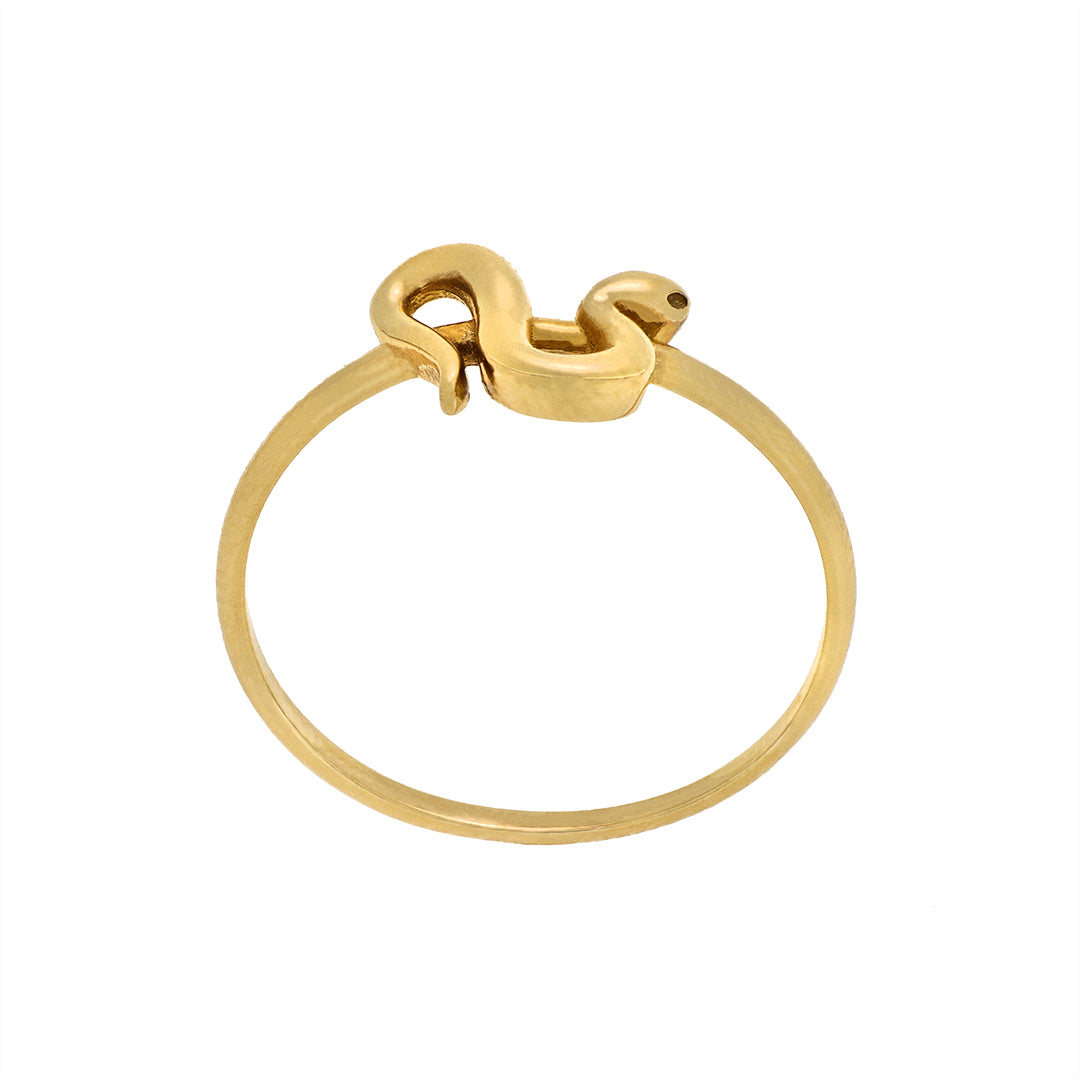 Anillo Snake