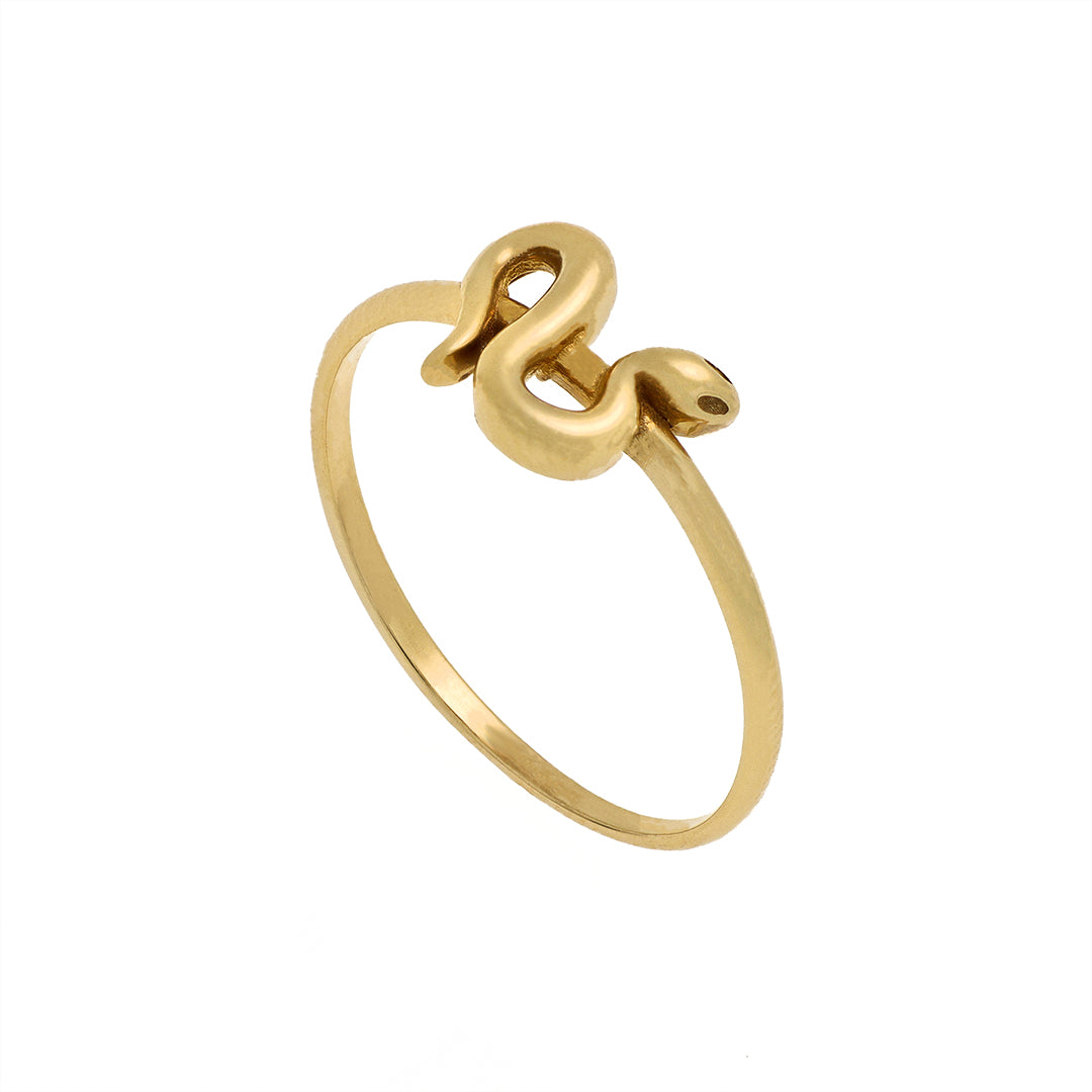 Anillo Snake